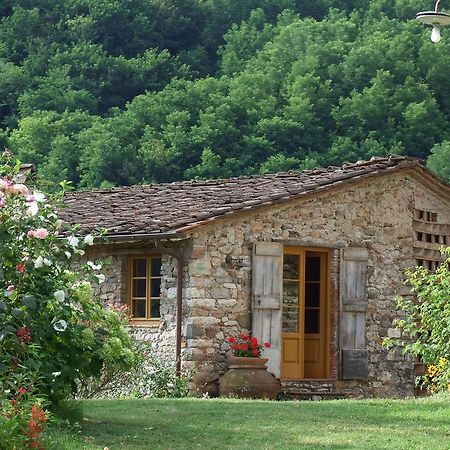 Villa Bottino By Salogi Villas San Martino in Freddana Eksteriør billede