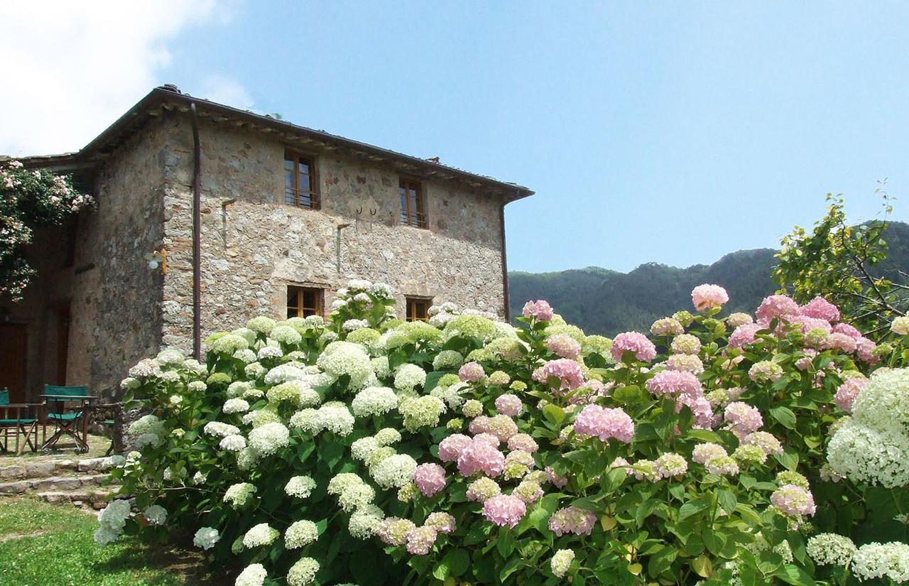 Villa Bottino By Salogi Villas San Martino in Freddana Eksteriør billede